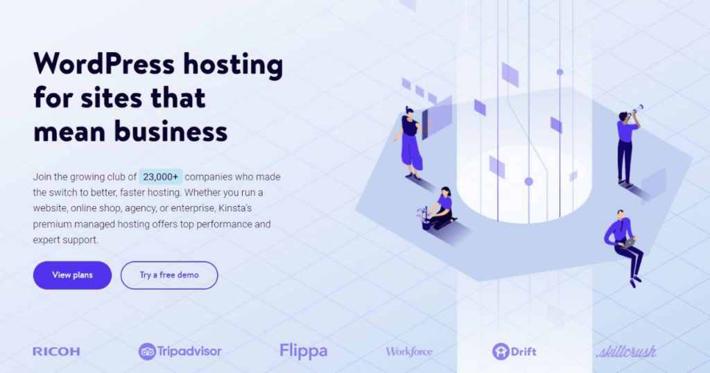 Kinsta website